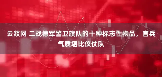 云燚网 二战德军警卫旗队的十种标志性物品，官兵气质堪比仪仗队