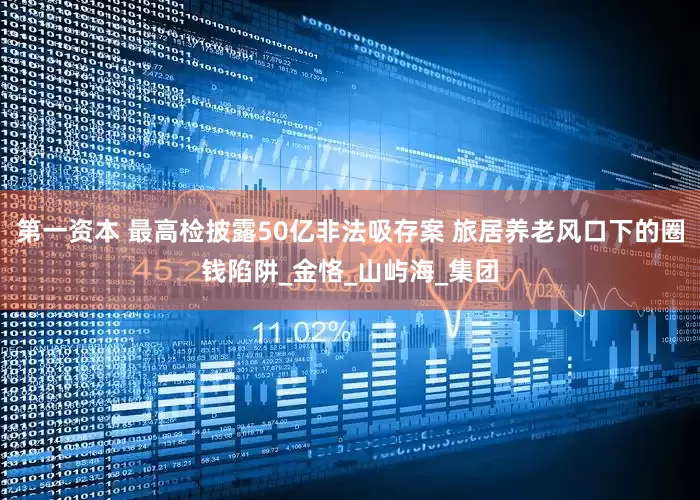 第一资本 最高检披露50亿非法吸存案 旅居养老风口下的圈钱陷阱_金恪_山屿海_集团