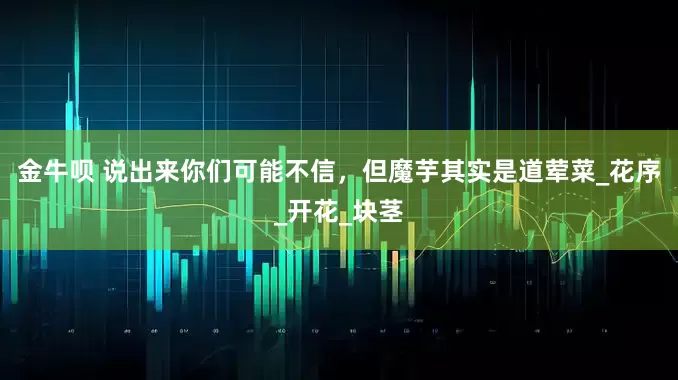 金牛呗 说出来你们可能不信，但魔芋其实是道荤菜_花序_开花_块茎