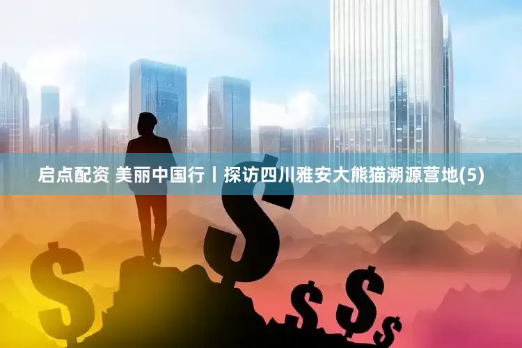 启点配资 美丽中国行丨探访四川雅安大熊猫溯源营地(5)